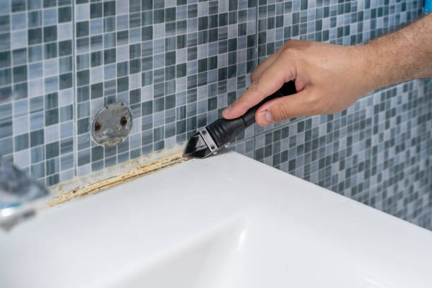 Trusted Bloomfield, NY Mold Remediation Experts